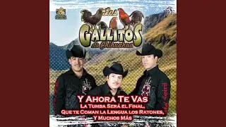 Y Ahora Te Vas