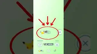 Brand New Feature in Pokemon GO!