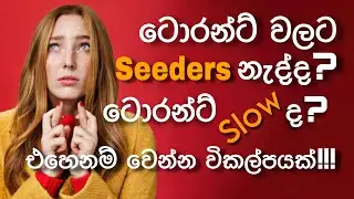 How to fix torrent speed | seedr.cc | Sinhala