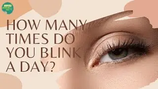 Your eyes blink around 20 times a minute: That&rsquo;s over ten million times a year!