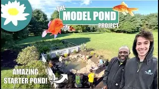 The Infamous Demo Pond