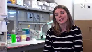 3D contra el c&aacute;ncer