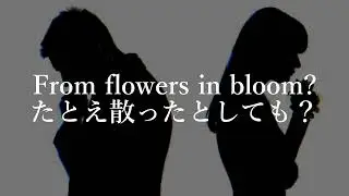 【和訳】Transgender - Crystal Castles