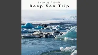 Soft Sea Noises Trip for Total Relax
