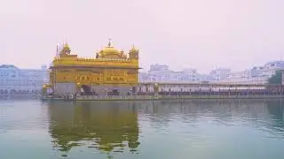#goldantample #punjab #amritsar #shorts