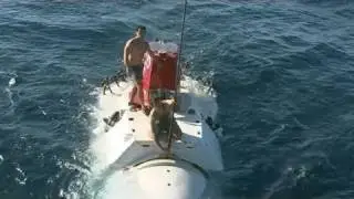 Submarine Scours Bottom of Gulf for Oil