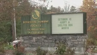 School in Berkshire County is taking the learning experience outside the classroom