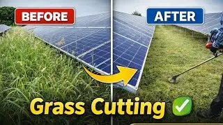 Grass cutting near solar panel ⚡ Power loss bachavo #solarpower #solarmaintenance 