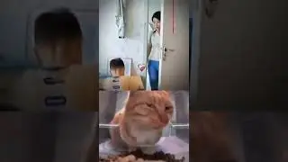Get Ready to Laugh 10 😂 😆#shorts #youtubeshorts  #memes #viral