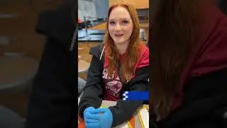 Real world experience: High school students join researchers to test water quality