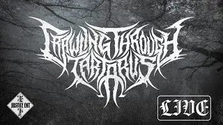@crawlingthroughtartarusoff6835 LIVE at DBZ 3/25 @JusticeEntCA
