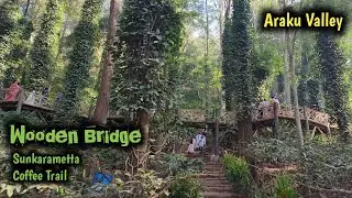 Wooden Bridge at Sunkarametta Coffee Trail || Araku Valley || Visakhapatnam || Pakka Vizag