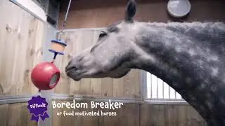 How to use the Likit Boredom Breaker