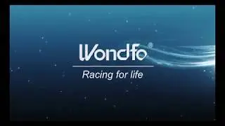 Wondfo Pet Blood Gas Analyzer