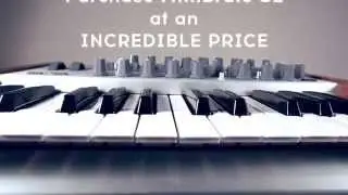 MiniBrute SE Limited time offer