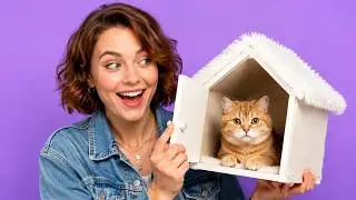 Моя кошка обнаружила секретный домик для питомцев! 🏡😻 Сюрприз &mdash; преображение скрытой комнаты