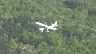 Eagle Over Trees