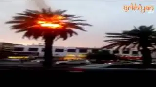 Kuwait City | Kuwait Temp hit 62c | Bushes and trees burnt out| Kuwait is Burning