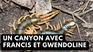 Canyon nocturne avec francis et Gwendoline