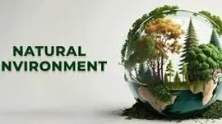 copyright free nature videos |No copyrightvideo nature |Download copyright freenature video.