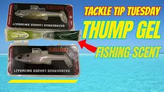 Fishing Short Strikes - Thump Gel makes them Bite 🎣