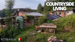 A simple day on Sustainable Living Farm Romania 🇷🇴 | Solarpunk Movement S01E09