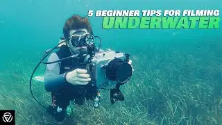 5 Beginner Tips for Filming Underwater with the BMPCC4K