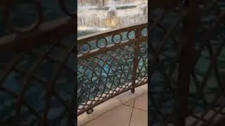 Using the Wynn casino deck at the Wynn hotel!!! #shorts #playingcards