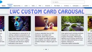 LWC Custom Card Carousal