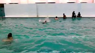 Asim In swimming pool Video.45