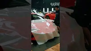 Lamborghini Huracan Tecnica - Paint Protection Film (PPF) | Twiisted Wrap