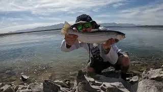 Fly Fishing Nevada (North Eastern Nevada edition)