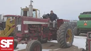 International Harvester 1256 Sells at Auction | Steel Deals | Successful Farming