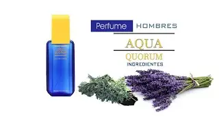 Aqua Quorum por Antonio Puig perfume para Hombres