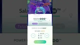 600000 stardust | Shadow Salamence | Max Out to Lv50 #pokemongo #maxoutmonday #15