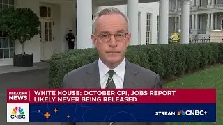 White House: October CPI and jobs report likely to never be released