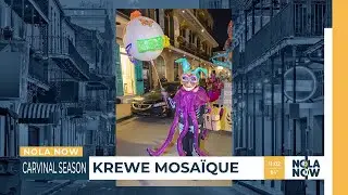 Krewe Mosaique set to roll through the French Quarter