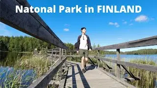 Visiting Great Nature in Finland! - Repovesi National Park