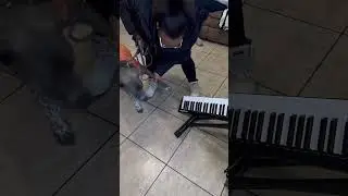 Ну, попробуйте что угодно... а где музыканты?
