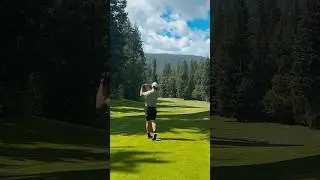 От хаоса к раздору | Обзор Salmon Arm (часть 2)