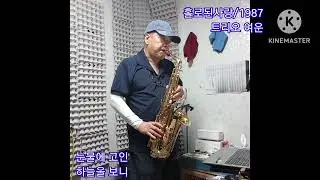 홀로된사랑   BY 여운