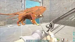 Faceless greifing Broken Bullet on Rag 67 [Official PVP] - Ark: Survival Evolved