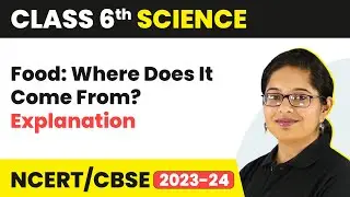 Class 6 Science Chapter 1 | Food:  Where Does It Come From? - Explanation