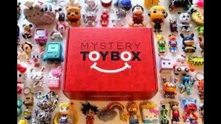 Mystery Toy Box