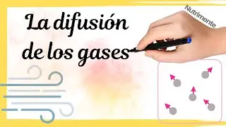 La DIFUSIÓN de los GASES [Biología/Química]