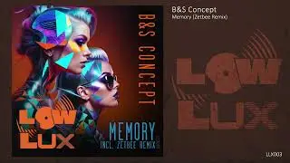 B&S Concept - Memory (Zetbee Remix)