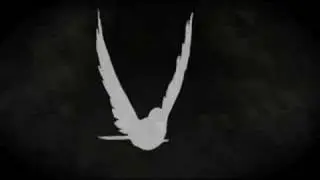 Sarah Fimm - White Birds