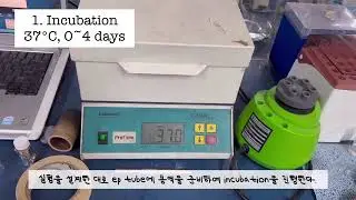 손상준 교수님 : Pepsin-Embedded Nanostructure Complex Free ofSelf-digestion