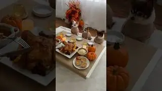 Thanksgiving Dinner for Dogs 🦃 #dogfood #healthydogfood #thanksgiving #cutedogs