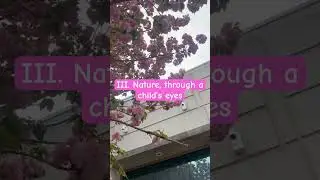 Cherry Blossoms 🌸. It&rsquo;s Spring Time!#kids #interactiveclass